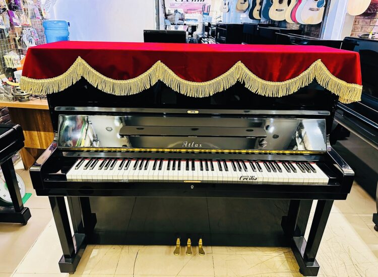 Piano Cơ và Điện Tử: Nên Chọn Loại Nào?